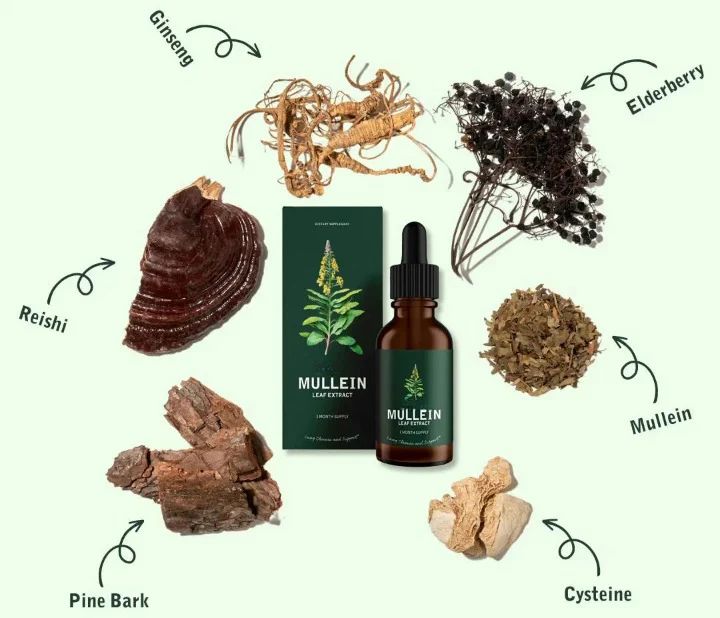 Mullein™ - Extracto de Gordolobo + Clorofila (Solución Definitiva Para Fumadores)