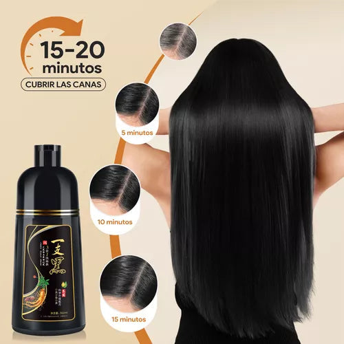 Shampoo Instantáneo Cubre Canas 3 en 1 Natural - Jengibre