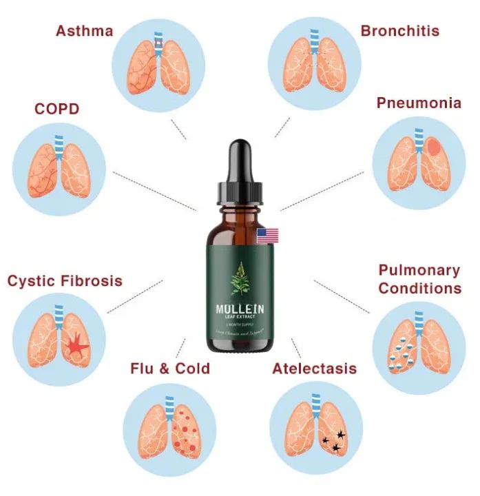 Mullein™ - Extracto de Gordolobo + Clorofila (Solución Definitiva Para Fumadores)
