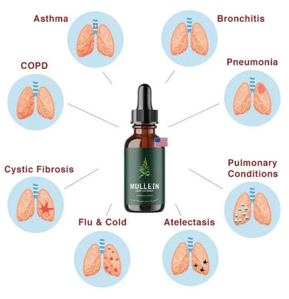 Mullein™ - Extracto de Gordolobo + Clorofila (Solución Definitiva Para Fumadores)